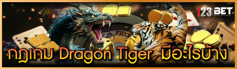 กฎเกม Dragon Tiger มีอะไรบ้าง