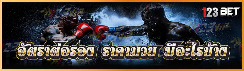 อัตราต่อรอง ราคามวย มีอะไรบ้าง