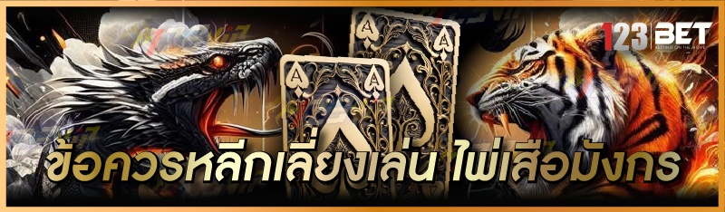 ข้อควรหลีกเลี่ยงเล่น ไพ่เสือมังกร