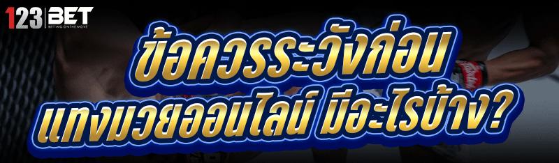 ข้อควรระวังก่อน แทงมวยออนไลน์ มีอะไรบ้าง?